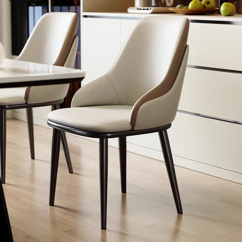Two-tone Dining Chair