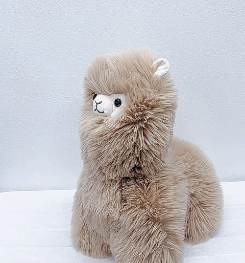 ODDONE TOYS