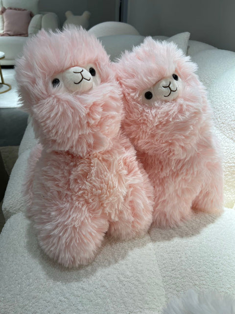 ODDONE TOYS